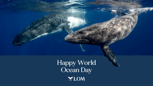 Happy World Ocean Day!